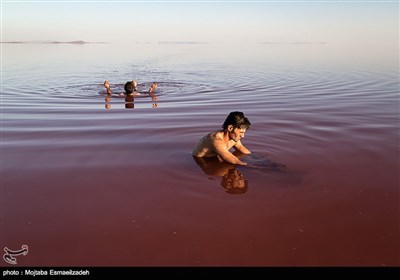 قرمز شدن رنگ آب دریاچه ارومیه