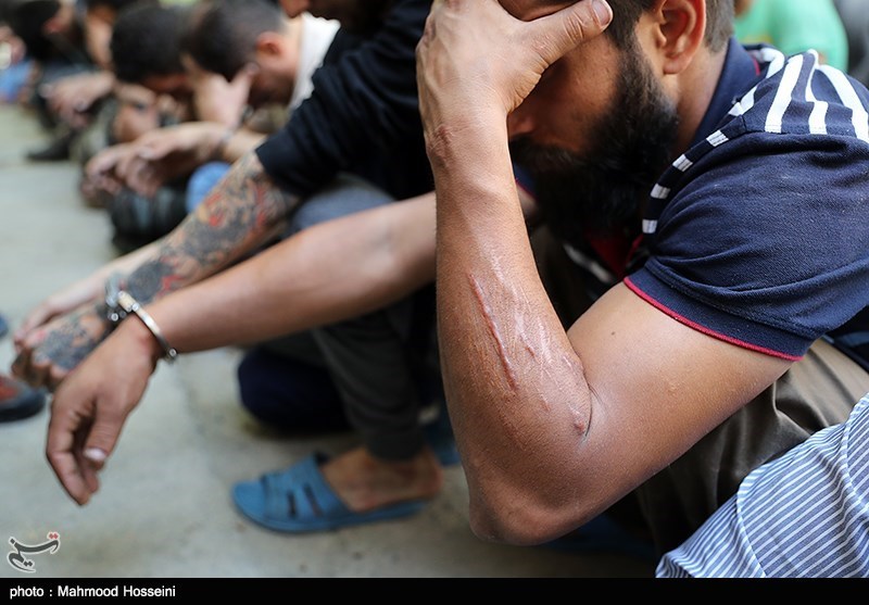 باند 5 نفره سارقان دام در شهرکرد دستگیر شدند