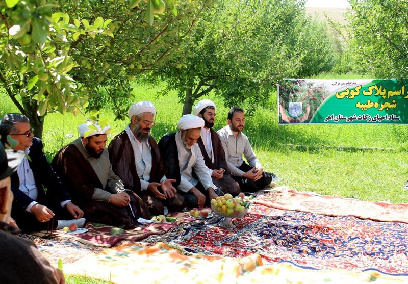 پلاک‌کوبی شجره طیبه بر روی 13 هزار درخت میوه در آذربایجان شرقی