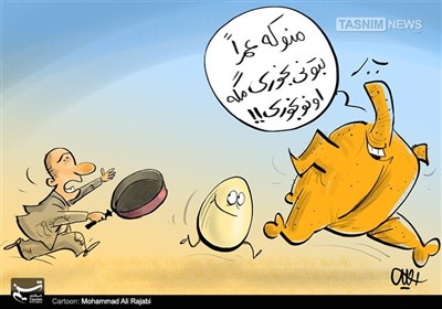 کاریکاتور/ کورس مرغ و تخم‌مرغ !!!