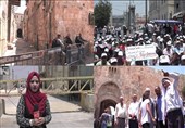 الفلسطینیون یشرحون لتنسیم عملیات الخداع الصهیونیة بحق المسجد الاقصى+فیدیو وصور