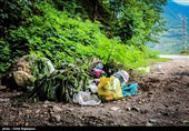 وجود زباله در مناطق مختلف مازندران برای سلامت شهروندان خطرآفرین شده است