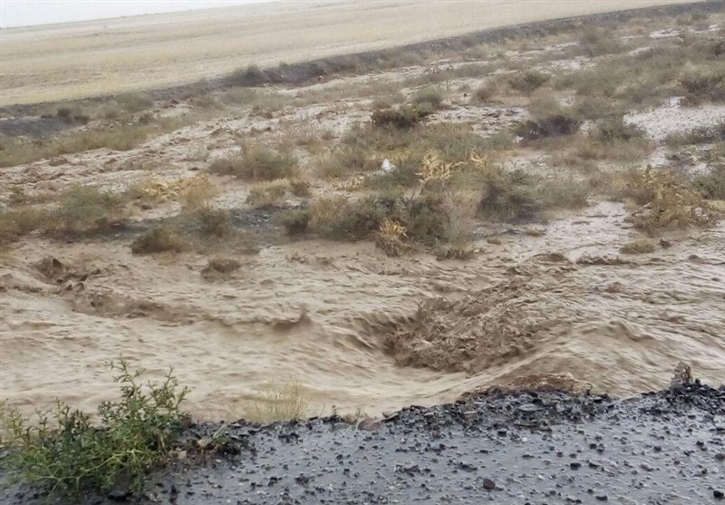 بارش شدید باران در کهگیلویه وبویراحمد/جاده باغچه سادات مسدود شد