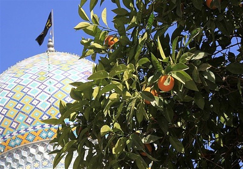 آستان مقدس علی‌ابن‌حمزه(ع) در شیراز، آمیزه‌ای از معنویت شیعی و قدمت تاریخی+فیلم