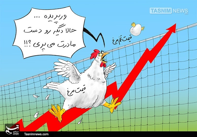 قیمت مرغ در استان سمنان کاهش می‌یابد