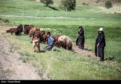 روستای تاریخی چرمله