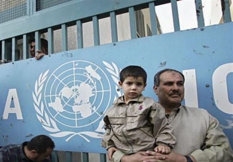 US Cuts UNRWA Funding by More than Half