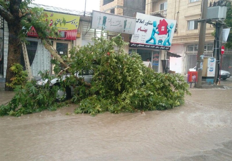 باران شدید بامداد امروز مازندران خساراتی نداشت