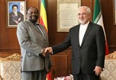 دیدار و گفت‌وگوی وزرای خارجه ایران و زیمبابوه