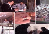 گزارش دیدنی تسنیم از بازار انگشتر «عقیق یمن» + فیلم و تصاویر