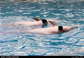 «شیبدراز» قشم به برندی زیست محیطی با محوریت تخمگذاری لاکپشتها و دلفین تبدیل شده است