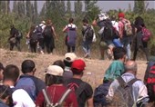 انتقاد شورای اروپایی از رفتار خشونت‌بار آلمان با پناهندگان اخراجی