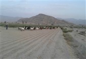 سایه سنگین بیکاری بر سر روستای سایبان لارستان/ کمبود نقدینگی و کم آبی کشاورزی را تعطیل کرد
