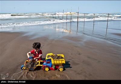 به مناسبت روز دریای خزر