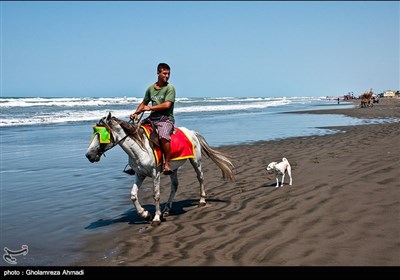 Caspian Sea Day Marked by Littoral States