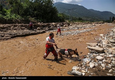 ایران میں سیلاب کی تباہ کاریاں/ لاپتہ افراد کی تلاش جاری