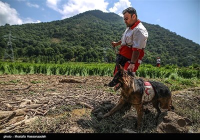 ایران میں سیلاب کی تباہ کاریاں/ لاپتہ افراد کی تلاش جاری