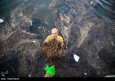 پاکسازی سراب نیلوفر توسط طرفداران محیط زیست - کرمانشاه