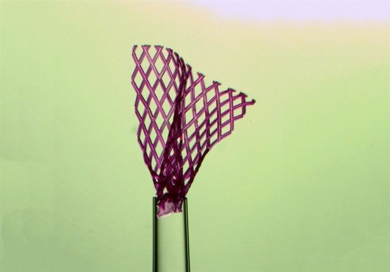 Injectable Tissue Patch to Repair Organs