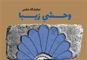نمایشگاه عکس وحشی زیبا کاشان