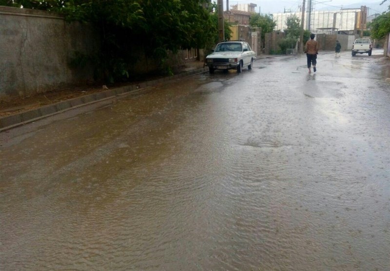 84.1 میلی‌متر بارش باران در استان بوشهر ثبت شد