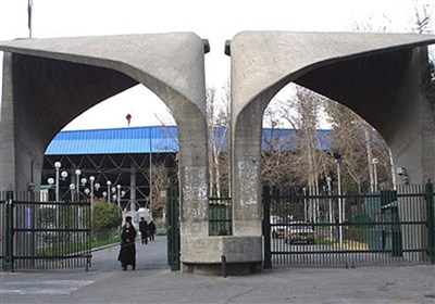 دانشگاه