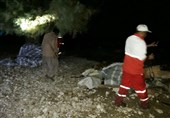 خسارت سیل در الموت به منازل مسکونی/ برق مناطق شهری قزوین وصل شد