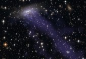 Unique Galaxy Has Less Dark Matter than Expected