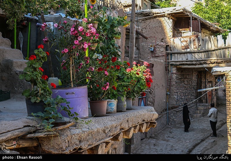 بوشهر| یک میلیارد ریال به 280 روستای هدف گردشگری در کشور پرداخت شد