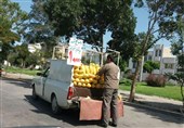 ورودی و خروجی شهر مادوان در محاصره مصالح فروشان و میوه فروشان سیار است
