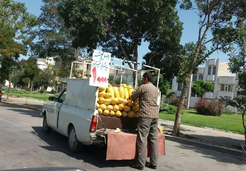 وانت بارهای میوه فروش در یاسوج ساماندهی شود