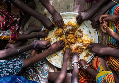  اکونومیست: فاجعه جهانی غذا قریب الوقوع است 