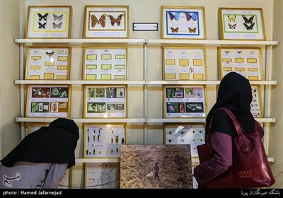 موسسه تحقیقات گیاه پزشکی کشور- مجموعه تنوع زیستی و ذخایر ژنتیکی گیاه پزشکی ایران