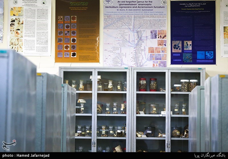 رستاخیز علمی ایران پشت دیوارهای تحریم