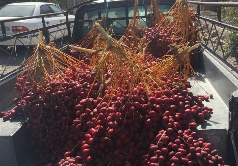 ارسال 8 تن خرما و 200 تخته پتو توسط بسیجیان دلگان برای زلزله‌زدگان کرمانشاه
