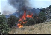 لرستان| &quot;آتش‌سوزی&quot; 13000 هکتار از جنگل‌های لرستان را نابود کرد