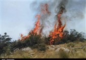 افزایش فوران شعله‌های آتش در جنگل‌های کوه‌خامی/ مهار حریق سخت‌تر شد/ نیاز مبرم به بالگرد برای هلی‌برن نیروها