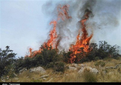  افزایش فوران شعله‌های آتش در جنگل‌های کوه‌خامی/ مهار حریق سخت‌تر شد/ نیاز مبرم به بالگرد برای هلی‌برن نیروها 