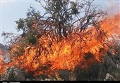 آتش‌سوزی جنگل‌های کوه خامی باشت همچنان ادامه دارد