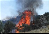 آتش سوزی همزمان 7 منطقه جنگلی کهگیلویه و بویراحمد
