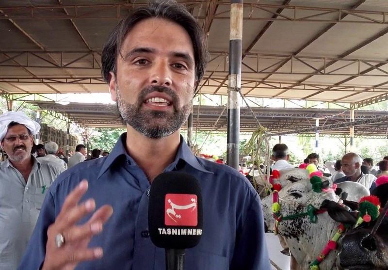 عید قربان کی آمد اور پاکستان بھر میں مویشی منڈیوں کی سجاوٹ + تسنیم کی خصوصی وڈیو رپورٹ