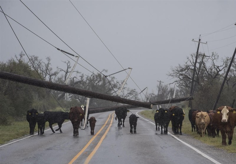 At Least 2 Dead as Harvey Slams Texas Coast, Causing Floods