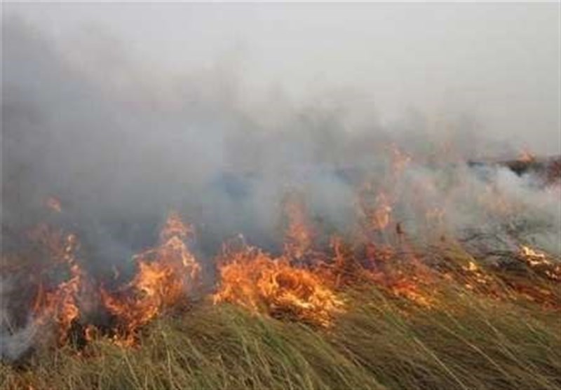 خرم‌آباد|24 هکتار آتش‌بر در جنگل‌ها و مراتع لرستان ایجاد شد