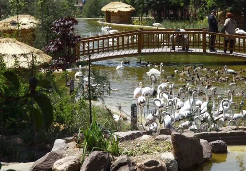 باغ پرندگان تهران؛ تلفیق زیبای گردشگری طبیعی، آموزشی و فرهنگی+فیلم