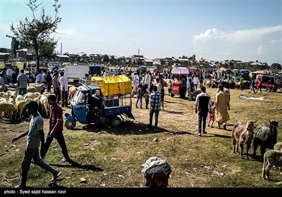 بازار عید قربان در کشمیر