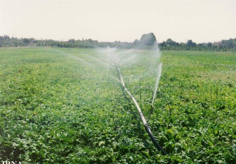 5 میلیون مترمکعب مصرف آب در حوزه کشاورزی کاشان صرفه‌جویی شد