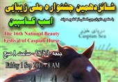 جشنواره ملی زیبایی اسب نژاد کاسپین در منطقه آزاد انزلی برگزار می‌شود