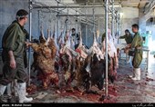 بیرجند| "قربانگاه" در تمام مصلی های نماز عید قربان خراسان جنوبی ایجاد می شود