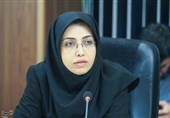 انتقاد عضو شورای شهر تهران به کم‌کاری دولت در بحث آلودگی هوا