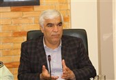 23 شرکت توسعه‌ای ‌اقتصاد مقاومتی در استان کرمان فعالیت می‌کنند